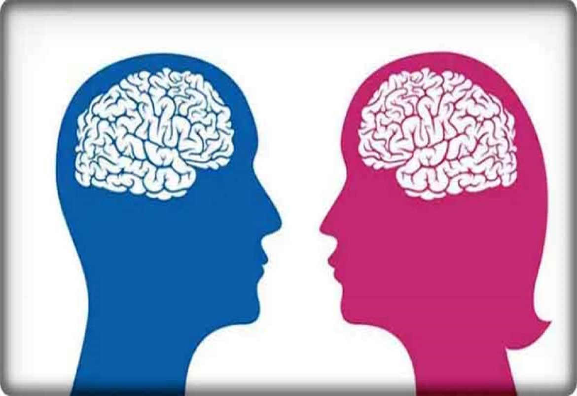 دراسة حول الفرق بين دماغ الرجل والمرأة
